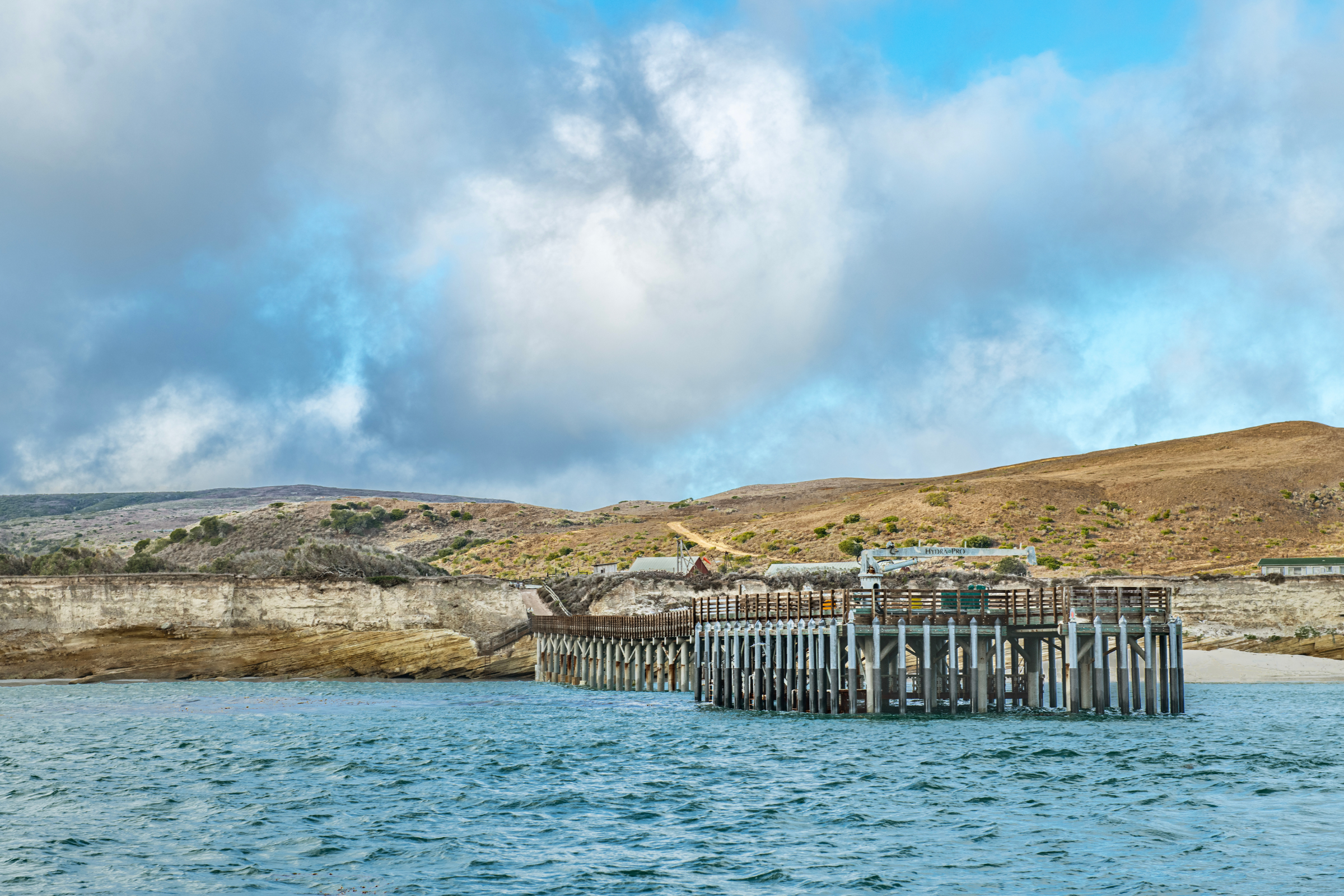 santa rosa island, california (4).webp